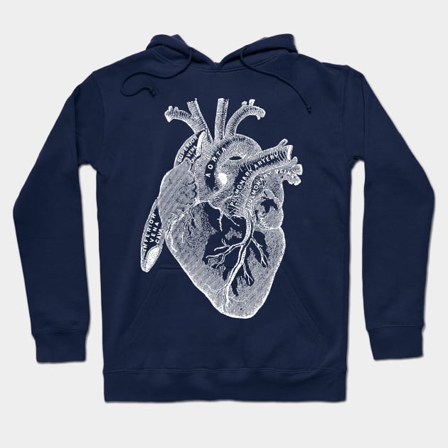 Antique Medical illustration of Human Heart Hoodie by Pixelchicken